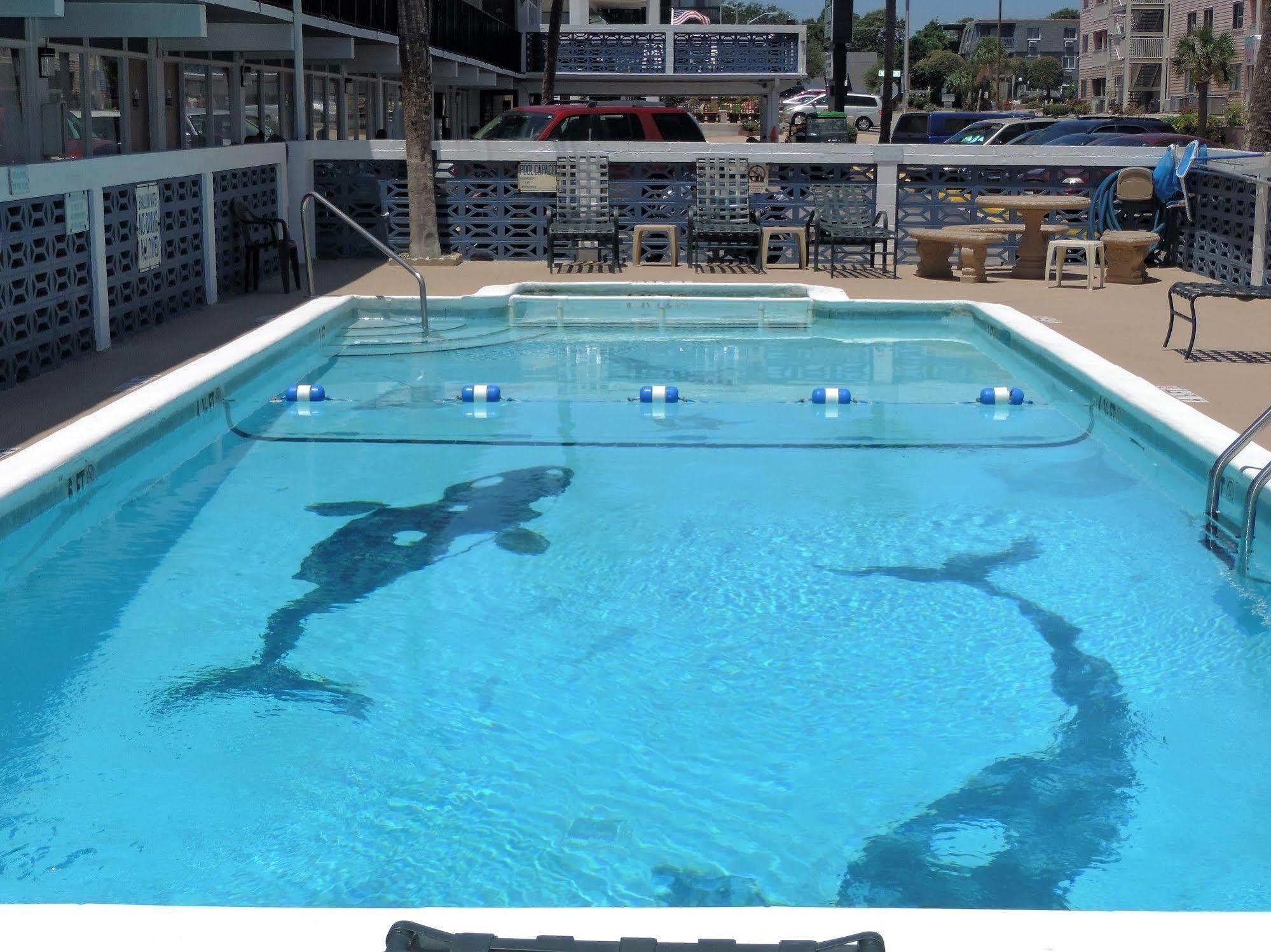 Sea Hawk Oceanfront Motel Myrtle Beach Bagian luar foto